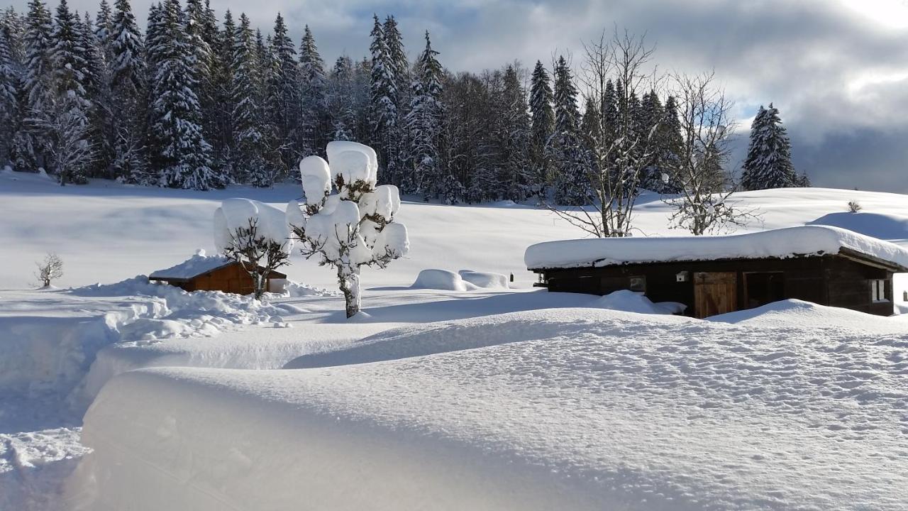 Mv Vacances Les Rousses Exterior photo